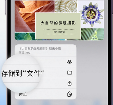 梅列apple维修中心分享iPhone文件应用中存储和找到下载文件