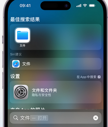 梅列apple维修中心分享iPhone文件应用中存储和找到下载文件