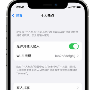 梅列apple服务站点分享iPhone上个人热点丢失了怎么办 