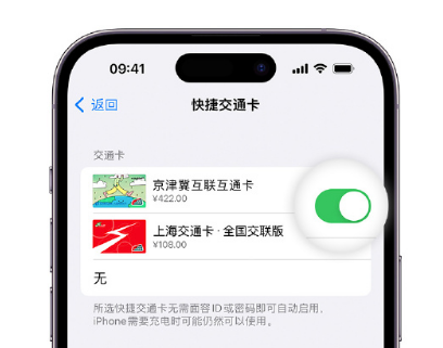 梅列apple维修点分享iPhone上更换Apple Pay快捷交通卡手绘卡面 