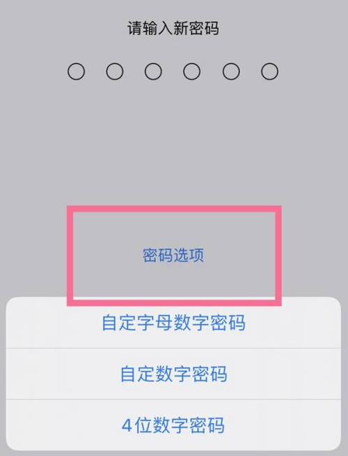 梅列苹果14维修分享iPhone 14plus设置密码的方法 