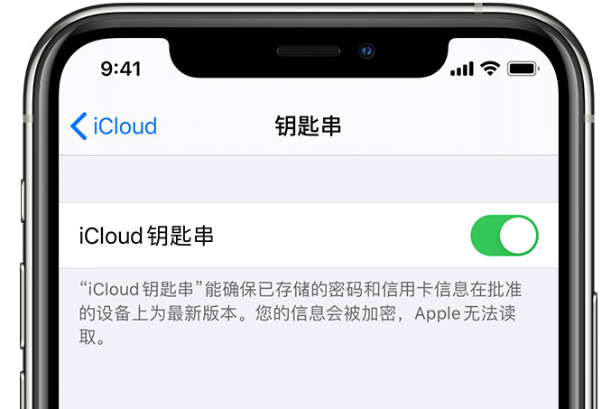 梅列苹果手机维修分享在 iPhone 上开启 iCloud 钥匙串之后会储存哪些信息 