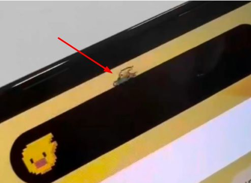 梅列苹果14维修分享iPhone 14 Pro Max灵动岛怎么养宠物 